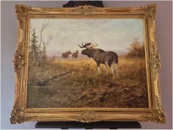 Animalistyka! Łoś i dwie Klępy na leśnych mokradłach - oryg. Georg Majewicz (1897-1965)