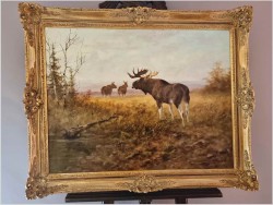 Animalistyka! Łoś i dwie Klępy na leśnych mokradłach - oryg. Georg Majewicz (1897-1965)