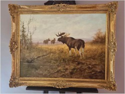 Animalistyka! Łoś i dwie Klępy na leśnych mokradłach - oryg. Georg Majewicz (1897-1965)
