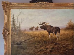 Animalistyka! Łoś i dwie Klępy na leśnych mokradłach - oryg. Georg Majewicz (1897-1965)