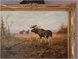 Animalistyka! Łoś i dwie Klępy na leśnych mokradłach - oryg. Georg Majewicz (1897-1965)