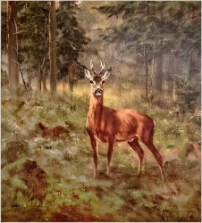 Malarstwo myśliwskie! Kozioł sarny - oryg. Georg Majewicz (1897-1965)