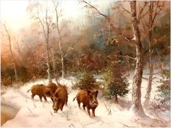 Zimowy Duży Pejzaż z Dzikami - Lothar Klein (*1911 Düsseldorf)