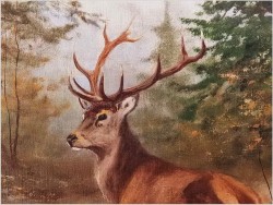 Dostojny Jeleń w leśnym strumieniu - oryg. Georg Majewicz (1897-1965)