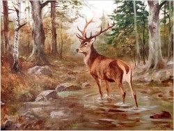 Dostojny Jeleń w leśnym strumieniu - oryg. Georg Majewicz (1897-1965)