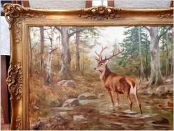 Dostojny Jeleń w leśnym strumieniu - oryg. Georg Majewicz (1897-1965)