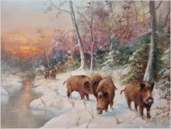 Rarytas! Zimowy pejzaż z dzikami - W.v.Kamp (120cm X 90cm)