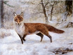 Malarstwo myśliwskie! Lis w zimowej scenerii - oryg. Georg Majewicz (1897-1965)