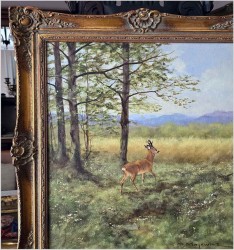 Kozioł sarny na przedpolu lasu - oryg. Georg Majewicz (1897-1965)