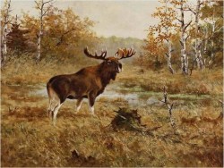 POLECAMY MALARSTWO AUKCYJNE! ŁOŚ - Georg Majewicz (1897 - 1965, Niemcy)