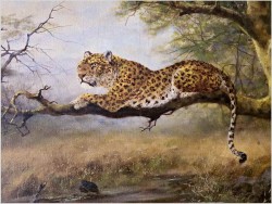 Tanganika! Lampart na gałęzi - oryg. Georg Majewicz (1897-1965)