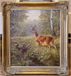 Piękne zbliżenie na Koziołka sarny - oryg. Georg Majewicz (1897-1965)