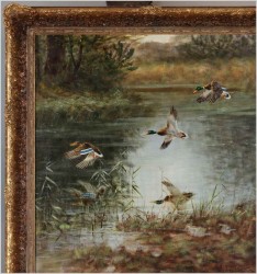 Lądujące dzikie kaczki nad stawem - oryg. Georg Majewicz (1897-1965)