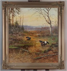 Obraz olejny! Tokujące gody Cietrzewi - oryg. Georg Majewicz (1897-1965)