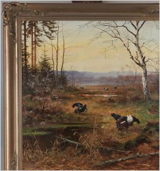 Obraz olejny! Tokujące gody Cietrzewi - oryg. Georg Majewicz (1897-1965)