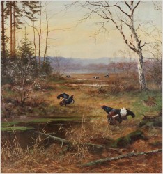 Obraz olejny! Tokujące gody Cietrzewi - oryg. Georg Majewicz (1897-1965)