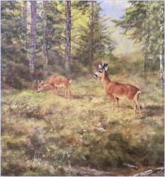 Malarstwo dla myśliwego! Sarna i Kozioł Sarny - oryg. Georg Majewicz (1897-1965)