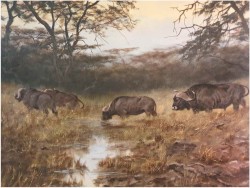 Tanganika! Wędrówka afrykańskich bawołów - oryg. Georg Majewicz *1897 (Rozmiar 120x80)