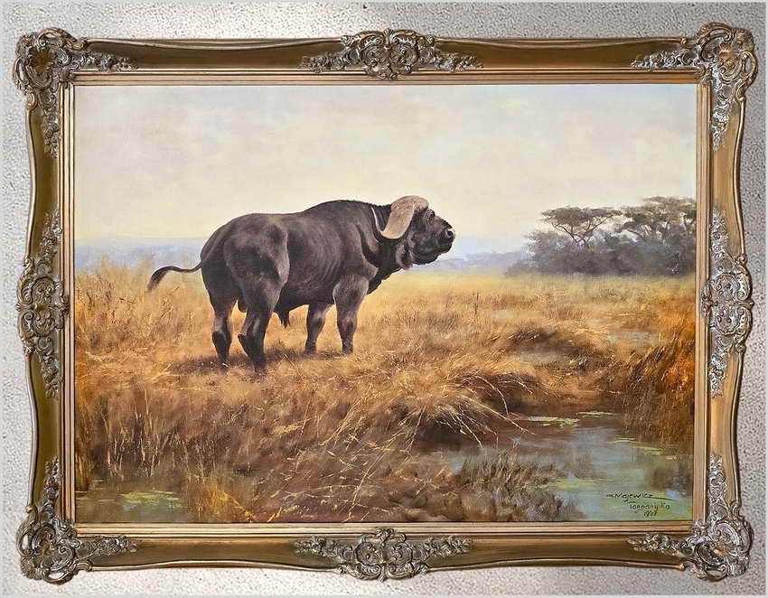 Tanganika! Bawoł afrykański - Oryg. Georg Majewicz (1897-1965) Rozmiar 138x98