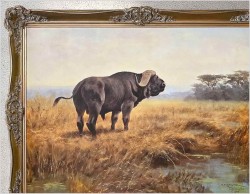 Tanganika! Bawoł afrykański - Oryg. Georg Majewicz (1897-1965) Rozmiar 138x98
