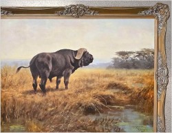 Tanganika! Bawoł afrykański - Oryg. Georg Majewicz (1897-1965) Rozmiar 138x98