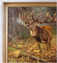 2. Duży obraz olejny! Jeleń na rykowisku - oryg. Georg Majewicz (1897-1965)