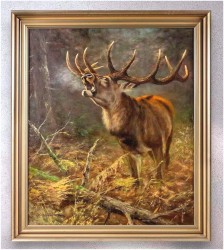 5. Duży obraz olejny! Jeleń na rykowisku - oryg. Georg Majewicz (1897-1965)