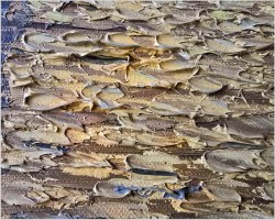 6. Obraz olejny! Łodzie rybackie na weneckiej lagunie - Carol spree *1907