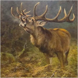 Duży obraz olejny! Jeleń na rykowisku - oryg. Georg Majewicz (1897-1965)