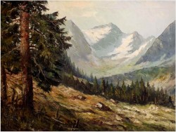 2c7e94af497427ddf64b840d901ac021