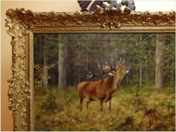 MALARSTWO AUKCYJNE! JELEŃ NA RYKOWISKU - Georg Majewicz (1897 - 1965 Niemcy)