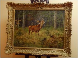 MALARSTWO AUKCYJNE! JELEŃ NA RYKOWISKU - Georg Majewicz (1897 - 1965 Niemcy)