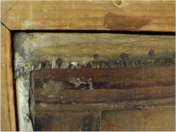 Batalistyka! Piękny zimowy obraz z wojskiem - Lucien pierre Sergent (1849-1904)