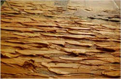 POLECAM! KUTRY RYBACKIE W PANORAMIE ~ Carol Spree ur.1907r