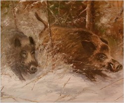 Rarytas Zimowy! Uciekające Dziki - W.v.Kamp (99cm X 89cm)