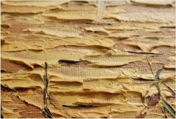 RARYTAS ! ZACHÓD SŁOŃCA ! oryg CAROL SPREE 1907r.