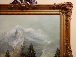 46fea2546141cba28e7264d72bfe6b60