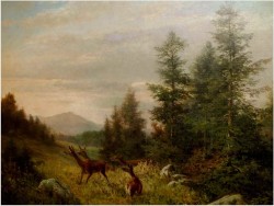 SARNY NA POLANIE - Alfred Karl Julius VON SCHÖNBERGER *1845 GRAZ / AUSTRIA