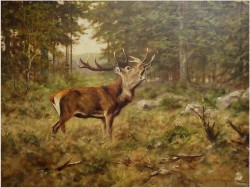 MALARSTWO AUKCYJNE! JELEŃ NA RYKOWISKU - Georg Majewicz (1897 - 1965 | Niemcy)