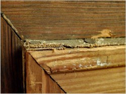 50bed21bcb292d4e0a9927356d284262