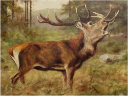 MALARSTWO AUKCYJNE! JELEŃ NA RYKOWISKU - Georg Majewicz (1897 - 1965 | Niemcy)