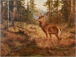 Malarstwo Aukcyjne! Jeleń Na Rykowisku - oryg. Georg Majewicz (1897-1965)