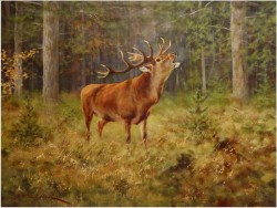 MALARSTWO AUKCYJNE! JELEŃ NA RYKOWISKU - Georg Majewicz (1897 - 1965 Niemcy)