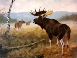 Rarytas kolekcjonerski! Łoś na leśnych mokradłach - oryg. Georg Majewicz (1897-1965)