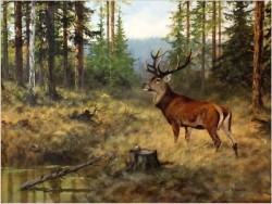 MALARSTWO AUKCYJNE! JELEŃ NA RYKOWISKU - ORYG. GEORG MAJEWICZ (1897-1965)