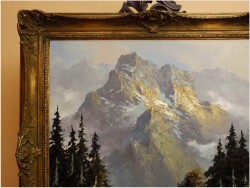 6f9e8a9aef74a6a15842914c52bdbe50