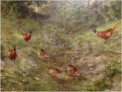 ORYGINAŁ! BAŻANTY I KUROPATWY - Georg Majewicz (1897 - 1965, Niemcy)