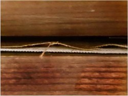 Targ kwiatowy w Amsterdamie / Hans Richter-Johannsen 1881-1966 (Mega rozmiar: 150cmx110cm)