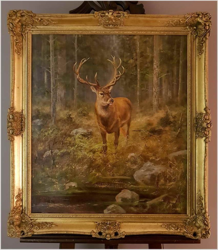 Malarstwo myśliwskie! Dostojny czternastak, jeleń - oryg. Georg Majewicz (1897-1965)