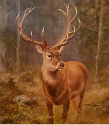 Malarstwo myśliwskie! Dostojny czternastak, jeleń - oryg. Georg Majewicz (1897-1965)